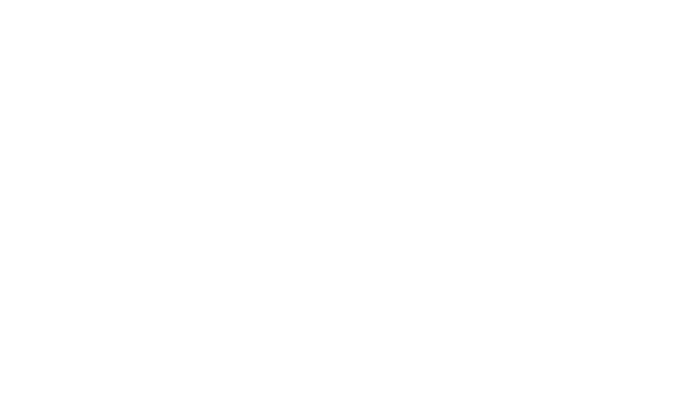 Zevo Agency